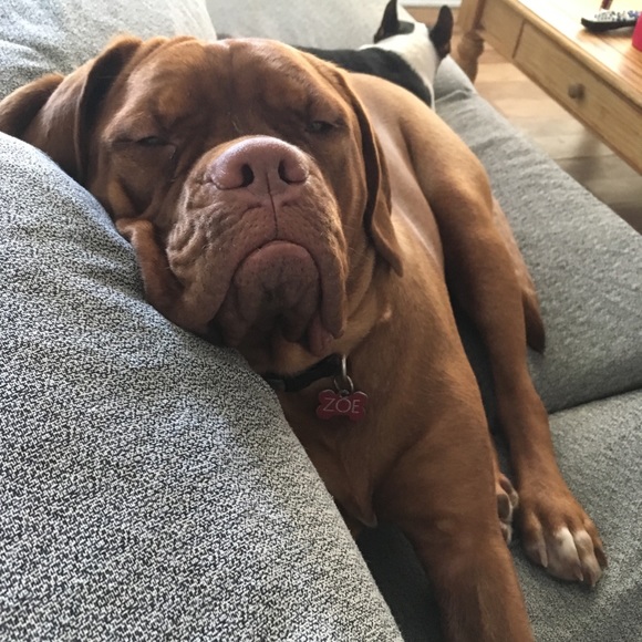 Meet your Posher, Camille - Picture 1 of 1